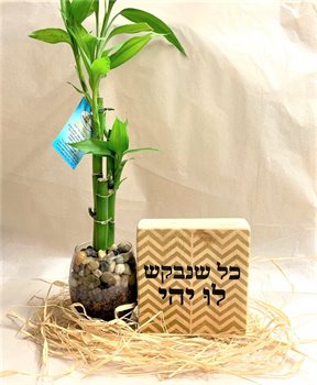 מארז לאקי במבוק